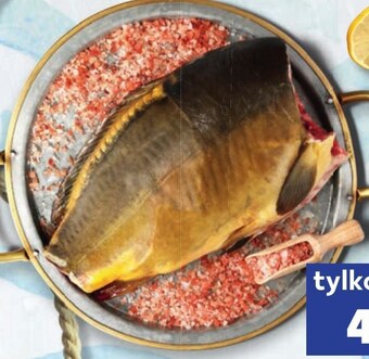 Kaufland Karp oferta