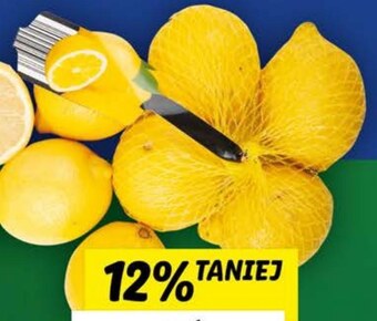 Lidl Cytryna oferta