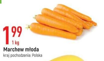 E.Leclerc Marchew młoda 1kg oferta