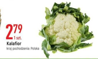 E.Leclerc Kalafior 1szt. oferta