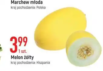 E.Leclerc Melon żółty 1szt. oferta