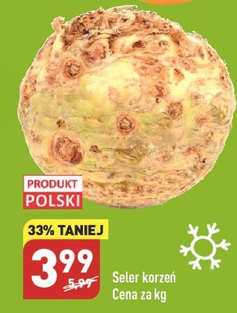 ALDI Seler korzeń oferta