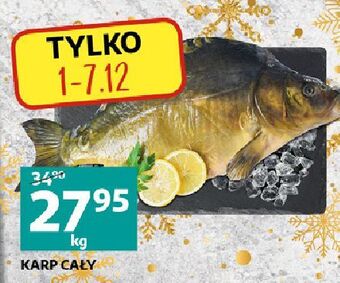 Auchan Karp oferta