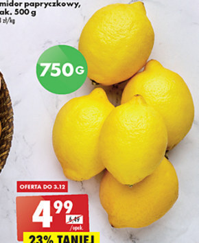 Biedronka Cytryna oferta