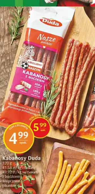 Delikatesy Centrum Kabanosy Duda 120g oferta