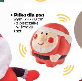 Netto Piłka dla psa oferta