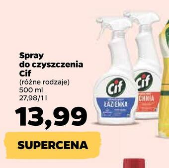 Netto Spray do czyszczenia cif oferta