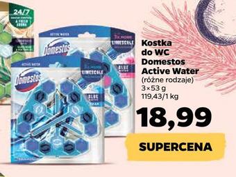 Netto Kostka do wc domestos active water oferta