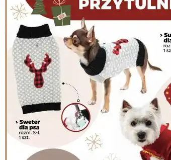 Netto Sweter dla psa oferta