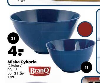 Netto Miska cykoria oferta