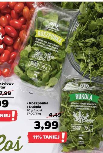 Netto Roszponka > rukola oferta