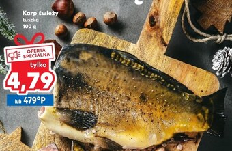 Kaufland Karp oferta