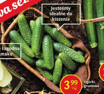 Delikatesy Centrum Ogórki gruntowe 1kg oferta