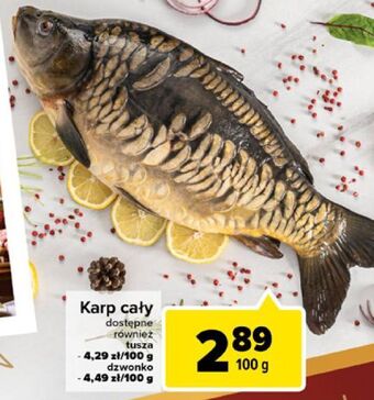 Carrefour Karp tusza oferta