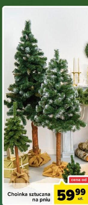 Carrefour Choinka na pniu oferta
