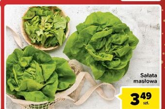 Carrefour Sałata masłowa oferta