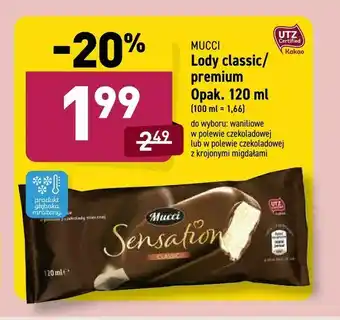 ALDI Lody classic/ premium oferta