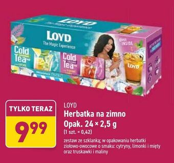ALDI Herbatka na zimno oferta