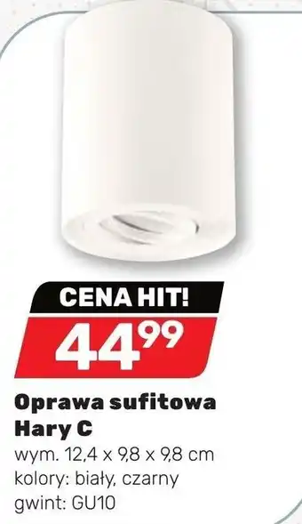 Bricomarche Oprawa sufitowa Harry C wym. 12,4x9,8x9,8cm oferta