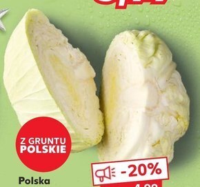 Kaufland Kapusta oferta