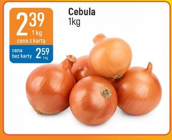E.Leclerc Cebula oferta
