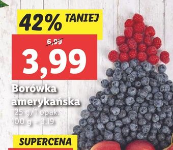 Borówka amerykańska