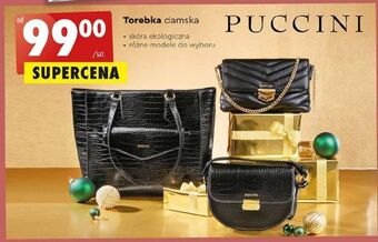 Biedronka Torebka damska puccini oferta