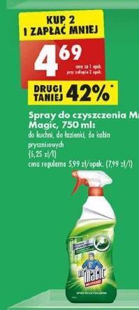 Biedronka Spray do kabin przysznicowych mr magic oferta