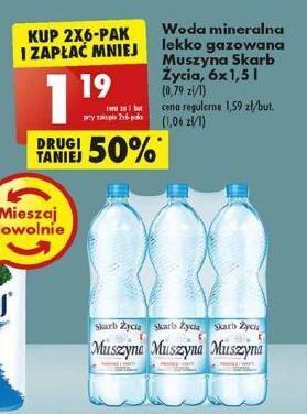 Biedronka Woda lekko gazowana muszyna skarb życia oferta
