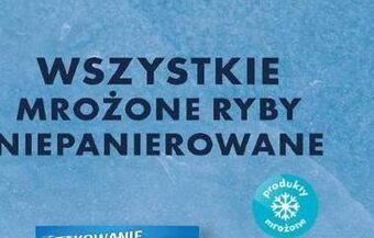 Biedronka Mix ekstra pasłęcki oferta
