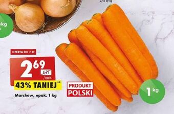 Biedronka Marchewka oferta