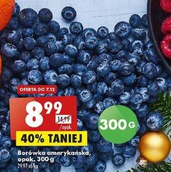 Biedronka Borówki amerykańskie oferta