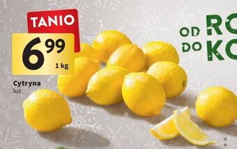 Intermarche Cytryny oferta