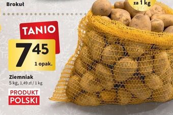 Intermarche Ziemniaki oferta