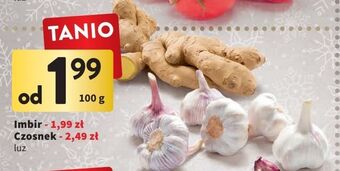 Intermarche Imbir oferta