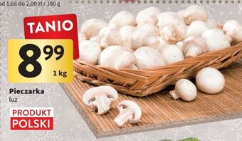 Intermarche Pieczarki oferta