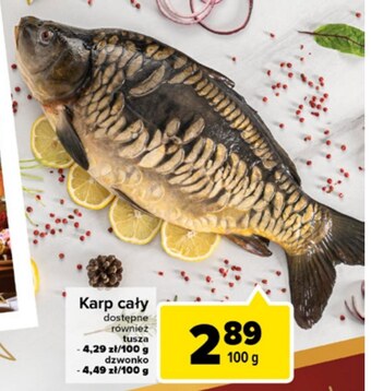 Carrefour Karp oferta