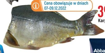 E.Leclerc Karp oferta