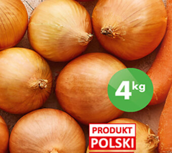 Biedronka Cebula oferta