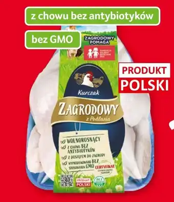 Kurczak zagrodowy