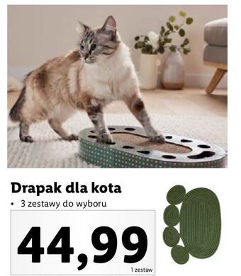 Lidl Drapak dla kota oferta