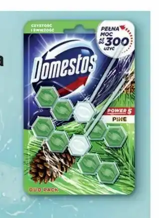 Kostka do WC Domestos Power Duo