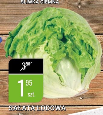 bi1 Sałata lodowa 1szt. oferta