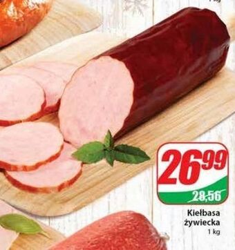 Dino Kiełbasa żywiecka agro rydzyna oferta