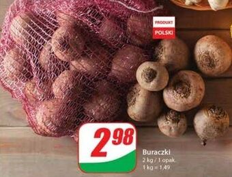 Dino Buraki oferta
