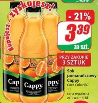 Dino Sok pomarańczowy cappy oferta