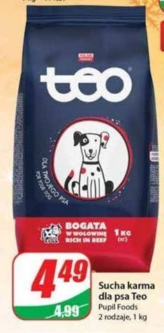 Dino Karma dla psa z wołowiną teo oferta