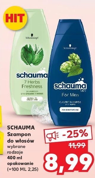 Kaufland Szampon do włosów schauma for men oferta