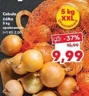 Kaufland Cebula żółta oferta