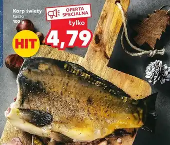 Kaufland Karp tusza oferta